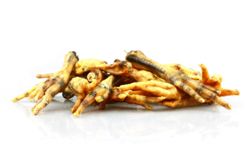 Dried Chicken Feet dog treat from Pets Best wholesale