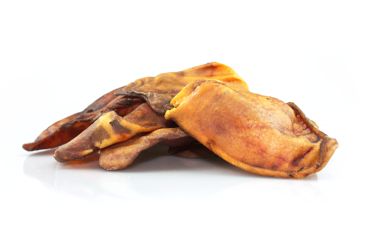 Iberico Pig Ears premium dog chew from Pets Best