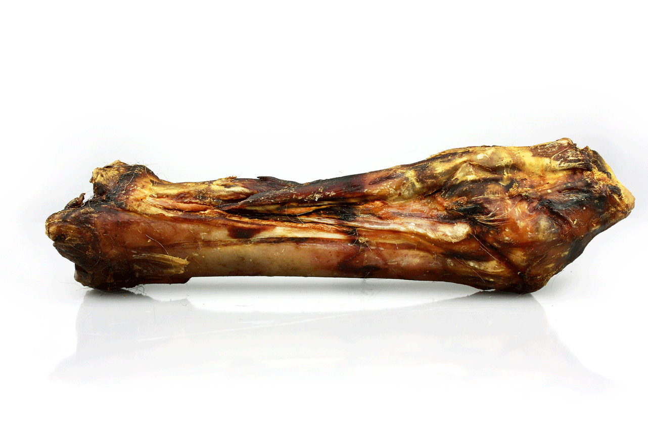 Horse Bone with Tendon - 30-st-en