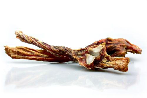 Dried Horse Achilles Tendon for dogs