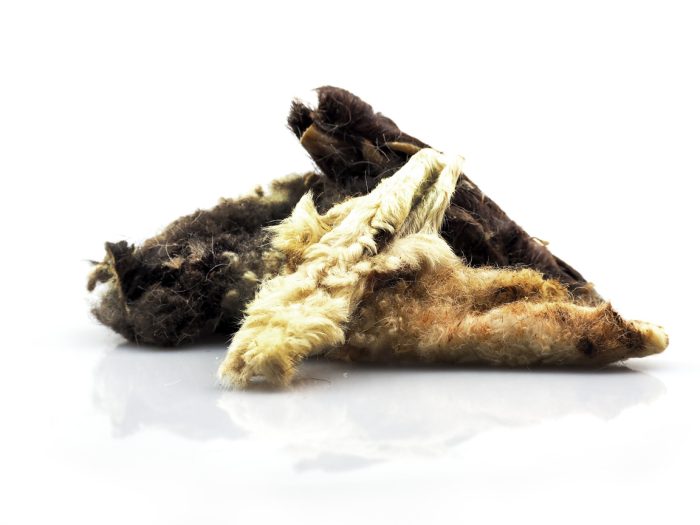 premium dog treat Lamb Scalp with Fur for dogs