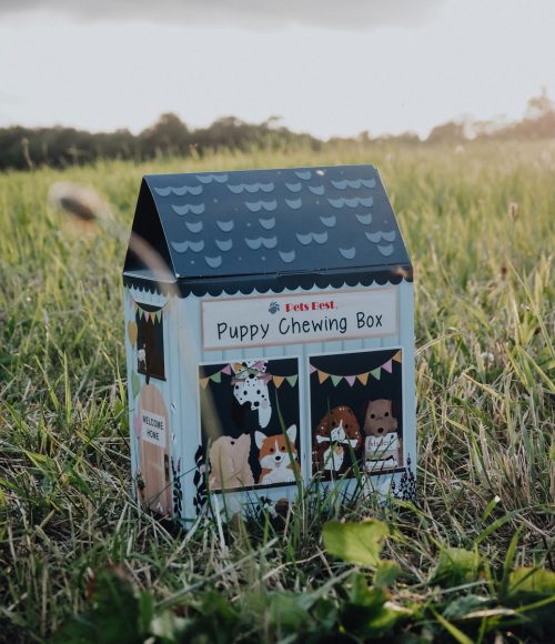Hundesnacks in Box zum verschenken von Pets Best